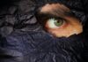 Home Remedies for Dark Circles and Puffy Eyes: Natural Solutions That Work